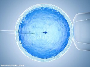 42岁二胎